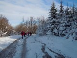 33. povratak